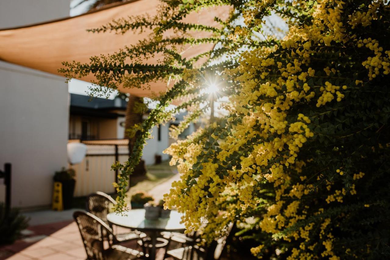 Inverell Terrace Motor Lodge Exterior foto